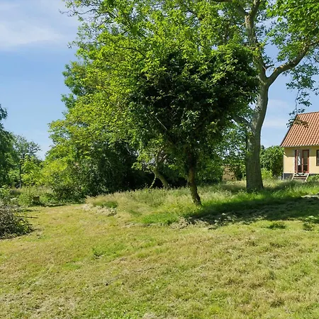 Old Local House From 1904 With Natural Garden